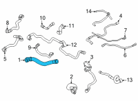 OEM 2021 BMW X6 Hose Radiator-Water Pump Diagram - 17-12-7-536-486