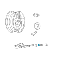 OEM Pontiac Solstice Seal, Tire Pressure Indicator Sensor Diagram - 15921680