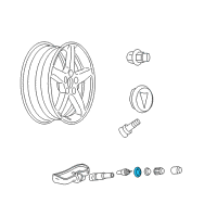 OEM 2007 Pontiac Torrent Tire Sensor Washer Diagram - 15921679