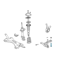 OEM 2001 Toyota Echo Lower Control Arm Rear Bolt Diagram - 90119-12337