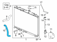 OEM Acura TLX HOSE, WATER (LOWER) Diagram - 19502-6S8-A00