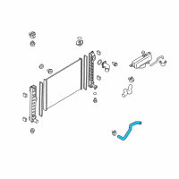 OEM 2018 Infiniti Q70L Hose-Radiator, Lower Diagram - 21503-1CB0A