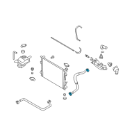 OEM 2014 Hyundai Veloster Clamp-Hose Diagram - 25331-2P044