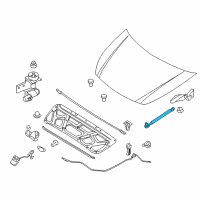 OEM Hyundai Entourage LIFTER-Hood, LH/RH Diagram - 81161-4D000--DS