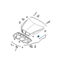 OEM 2007 Kia Sorento Front Bracket Assembly-Hood, L Diagram - 811623E000