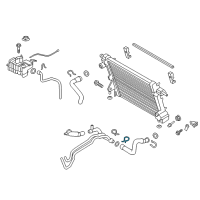 OEM Ford F-250 Super Duty Lower Hose Clamp Diagram - HC3Z-8W287-B