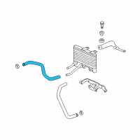 OEM Acura Hose (ATF) Diagram - 25214-R8E-003