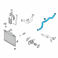 OEM 2018 Toyota Yaris iA Lower Hose Diagram - 16572-WB002