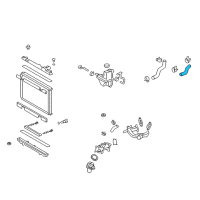 OEM 2011 Lexus IS F Hose, Radiator, NO.1 Diagram - 16571-38070