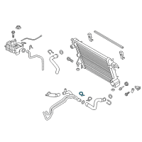 OEM Ford F-250 Super Duty Reservoir Diagram - HC3Z-8A080-D