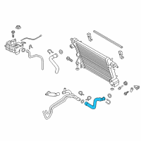 OEM Ford Lower Hose Clip Diagram - HC3Z-8B365-A