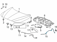 OEM 2022 Acura MDX Wire Assembly, Rear Hood Diagram - 74132-TYA-A01