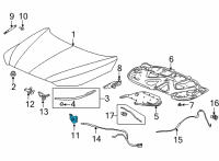 OEM 2022 Acura MDX Lock Assembly L, Hood Diagram - 74170-TYA-A02