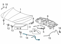 OEM 2022 Acura MDX Wire Assembly, Front Hood Diagram - 74131-TYA-A01