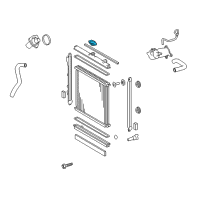 OEM 2019 Lexus LX570 Cap Sub-Assy, Radiator Diagram - 16401-17010