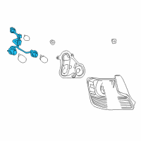 OEM Scion Socket & Wire Diagram - 81555-21330