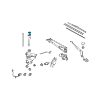 OEM Lexus ES350 Cap, Washer, A Diagram - 85316-33320