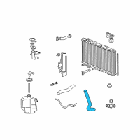 OEM Honda Civic Hose, Water (Lower) Diagram - 19504-RNB-A01