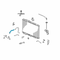 OEM 2012 Acura RL Hose, Water (Upper) Diagram - 19501-RKG-A10