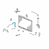 OEM 2011 Acura RL Hose, Water (Lower) Diagram - 19502-RKG-A10