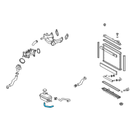 OEM Lexus LS600h Hose, Reserve Tank Outlet Diagram - 16566-38020