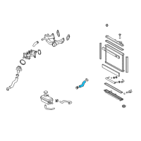 OEM 2009 Lexus LS460 Hose, Radiator, NO.1 Diagram - 16571-38060