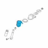 OEM Mercury Coil Spring Diagram - 8G1Z-5560-C