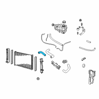 OEM Pontiac GTO Radiator Outlet Hose (Lower) Diagram - 92112264