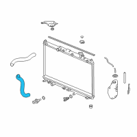 OEM Honda Accord Hose, Water (Lower) Diagram - 19502-5G2-A01