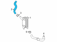 OEM Toyota Corolla Cross Inlet Hose Diagram - 16262-F2060