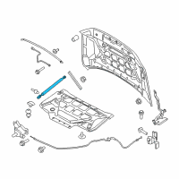 OEM Ford F-150 Lift Cylinder Diagram - FL3Z-16C826-B