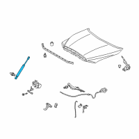 OEM 2013 Toyota Tundra Support Cylinder Diagram - 53440-0C021