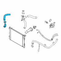 OEM 2016 Kia Forte Koup Hose-Radiator Lower Diagram - 25412A7000