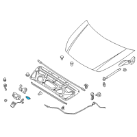 OEM 2011 Kia Sedona Catch Assembly-Hood Safe Diagram - 811504D000