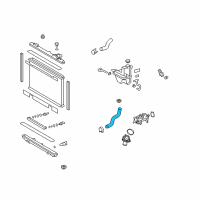 OEM Lexus IS F Hose, Radiator, NO.2 Diagram - 16572-38120