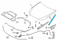 OEM 2022 BMW M4 GAS SPRING FRONT FLAP, PASSI Diagram - 51-23-9-463-396