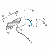 OEM 2013 Ford F-250 Super Duty Upper Hose Diagram - BC3Z-8A365-A