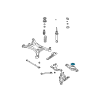 OEM 2010 Nissan Maxima Rear Spring Seat-Rubber Diagram - 55050-3Z000