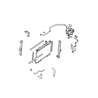 OEM Infiniti Radiator Cap Assembly Diagram - 21430-C991A