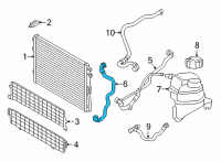 OEM BMW M340i HOSE, RADIATOR Diagram - 17-12-8-742-077