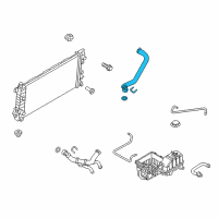 OEM 2011 Ford F-150 Upper Hose Diagram - CL3Z-8260-A