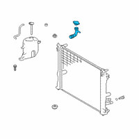 OEM Lexus Neck, Filler Diagram - 16897-25030