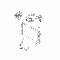 OEM Chrysler Clamp-Hose Diagram - 4401438