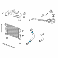 OEM Cadillac CTS Clamp-Service Part Only Diagram - 11570868