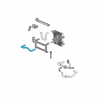 OEM 2001 Honda Civic Hose (580MM) (ATf) Diagram - 25215-PMP-005