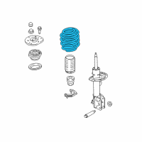 OEM Lincoln Nautilus Coil Spring Diagram - F2GZ-5310-M