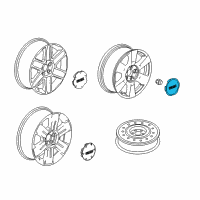 OEM 2015 GMC Terrain Center Cap Diagram - 9597973