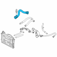 OEM 1999 BMW 750iL Radiator Water Lower Pipe Hose Diagram - 11-53-1-711-878