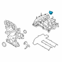 OEM Ford EcoSport Filler Cap Diagram - F2GZ-6766-H