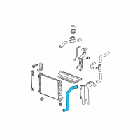 OEM Chevrolet HHR Lower Hose Diagram - 15920918